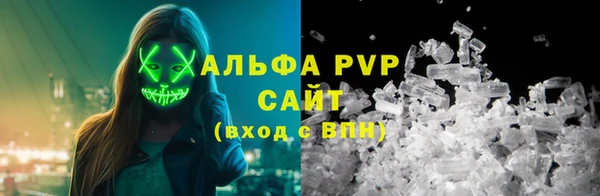 дмт Карпинск