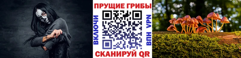 Псилоцибиновые грибы мицелий  Дмитриев 